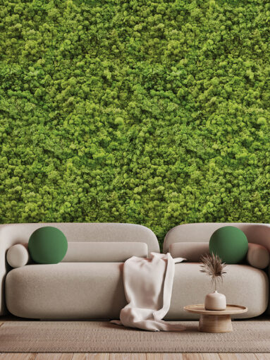 Viva magenta wall background mockup with sofa furniture and deco